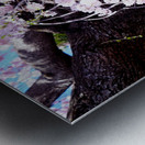 Cherry Blossom 3B Metal print