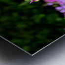 Tulips Are Better Than One 3 Metal print