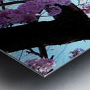 Cherry Blossom  Metal print