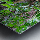 Hiking Hawaii 2 Metal print