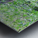 Got Stumped  Metal print