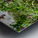 Monarch Butterfly Impression metal