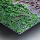 Barbed Stone Wall 2 Metal print