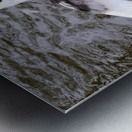 A Black Swan Moment Impression metal