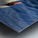 Wings of Love 1A Metal print