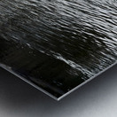 Ducking a Black Swan Moment Metal print