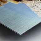 No Selfies Please  Metal print