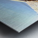 Duck Pose Metal print