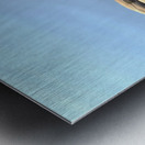 Duck Face Metal print