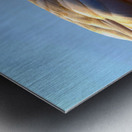 Got My Eye On You Duck Metal print