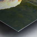 Evil Eye Swan Metal print