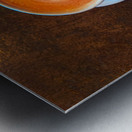 Frothy Feather Lavender Vanilla Latte Metal print