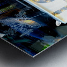 Window Watcher Metal print