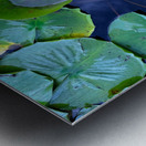 Resting Above the Depths Metal print