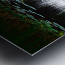 Silent Glide Metal print