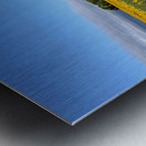 A Sea of Golden Dreams Metal print