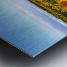 The Heart of Summer  Metal print