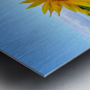 First Light Flower Impression metal