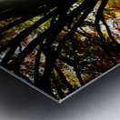 Shades of Autumn Metal print