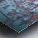 Frozen Lollipop Thistle Metal print