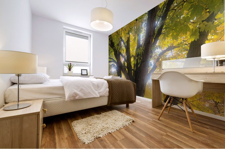 Fall Transition: Beneath the Light of Leaves Mural print