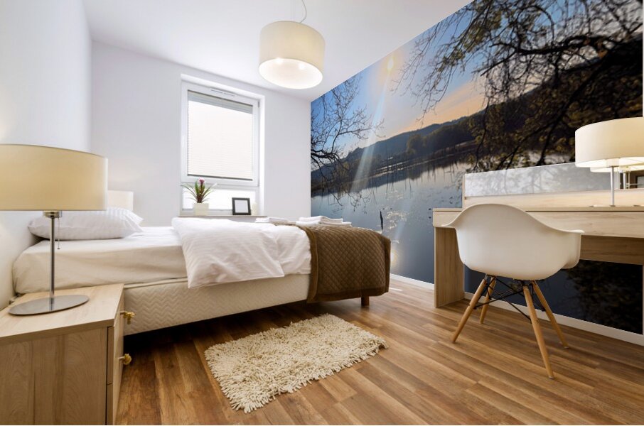 Reflections of La Crosse Mural print