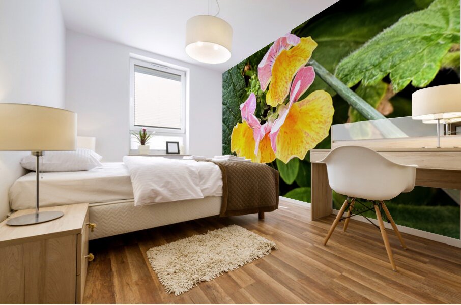 Pocketful of Sunshine Mural print