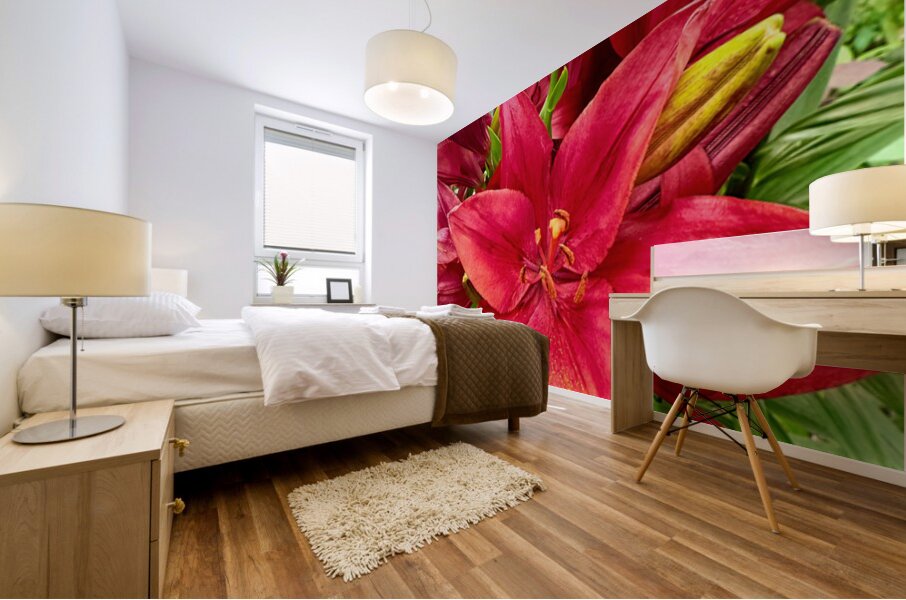 Close Encounter with Red Asiatic Lily Mural print