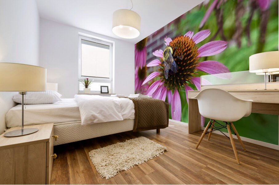 Coneflower Harmony Mural print