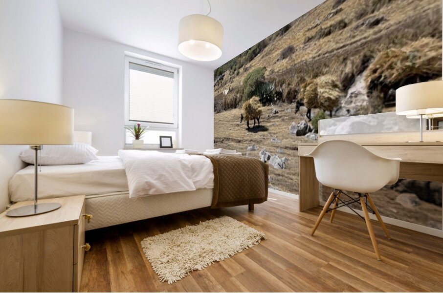 IMG 9556 Mural print