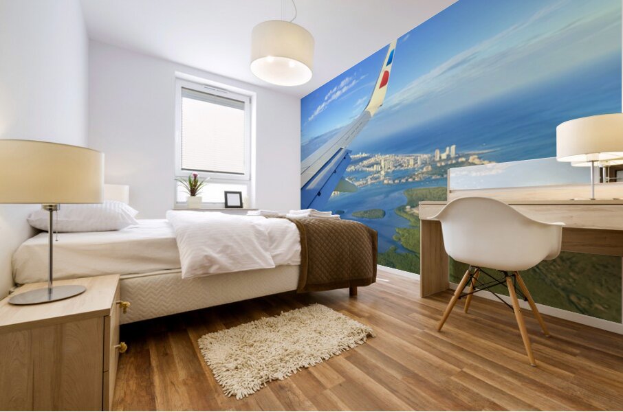 IMG 0553 Mural print