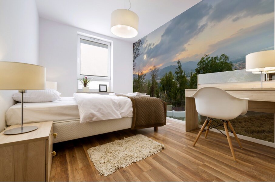 IMG 0479 Mural print