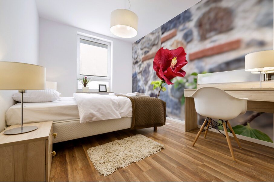 IMG 9956 Mural print