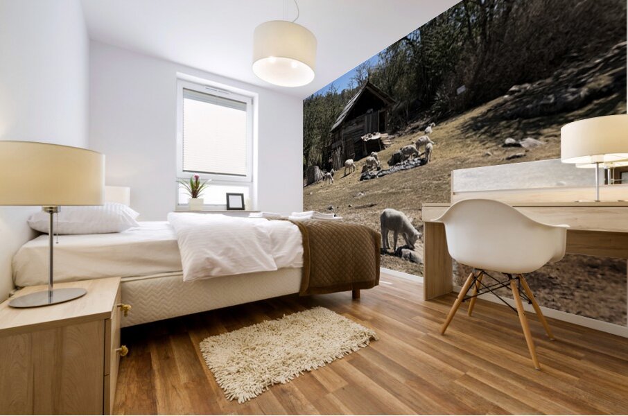 IMG 9504 Mural print