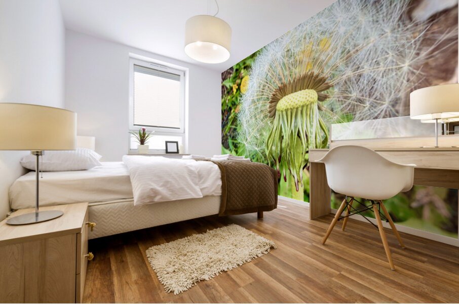 IMG 1757 Mural print