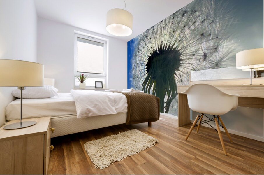 Nature’s Halo Mural print