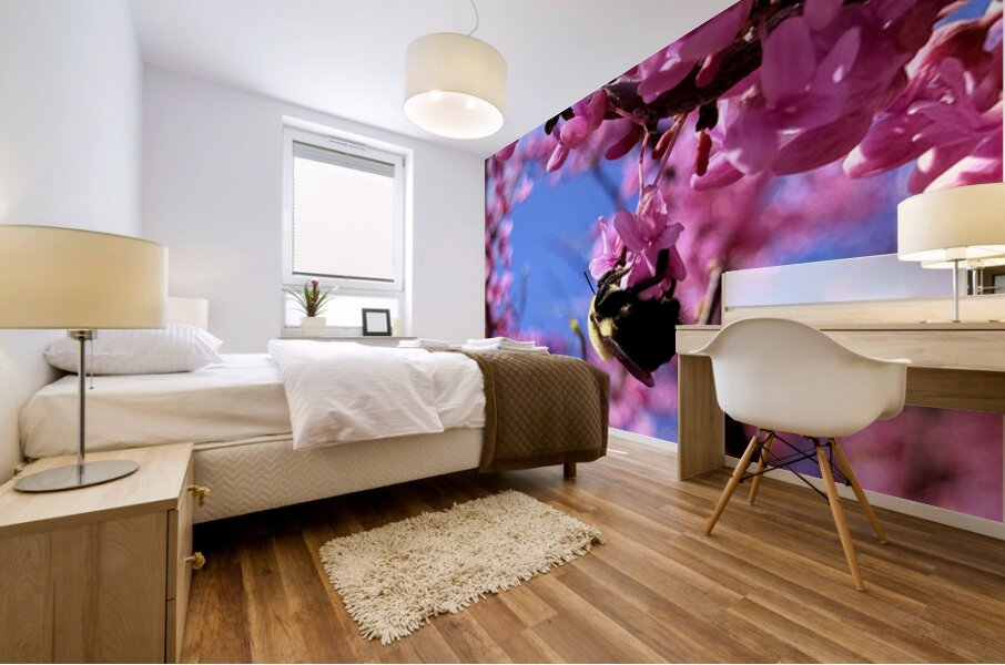 IMG 1648 Mural print