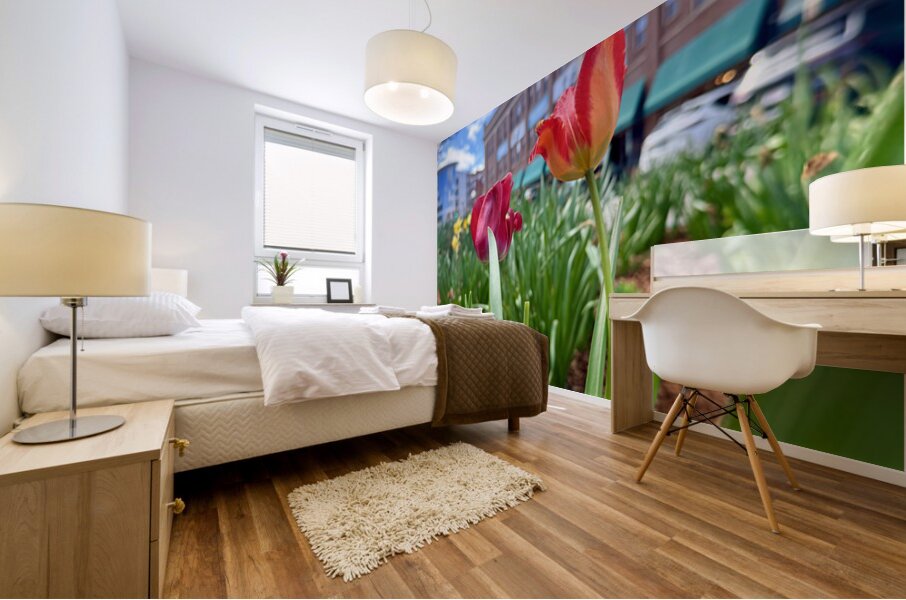 IMG 1602 Mural print