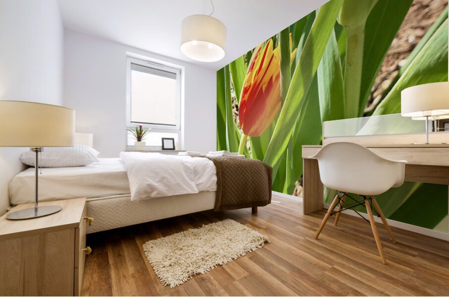 IMG 1605 Mural print