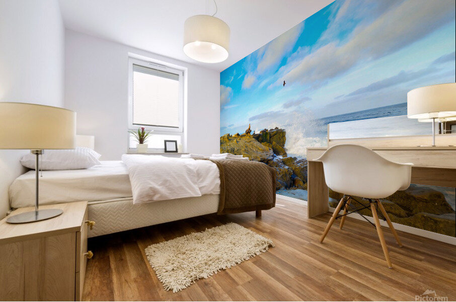 Seal Meditation 2 Mural print