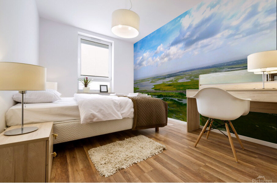 New Orleans from the Sky Mural print