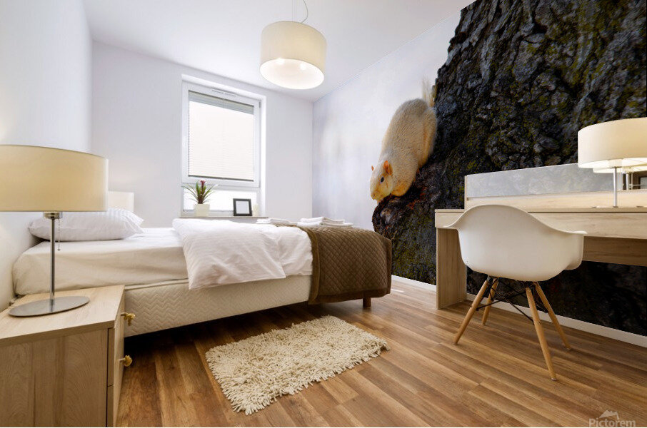 A Blonde Squirrel Moment Mural print