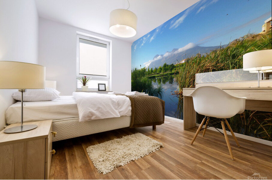 Out of Africa 2 Mural print