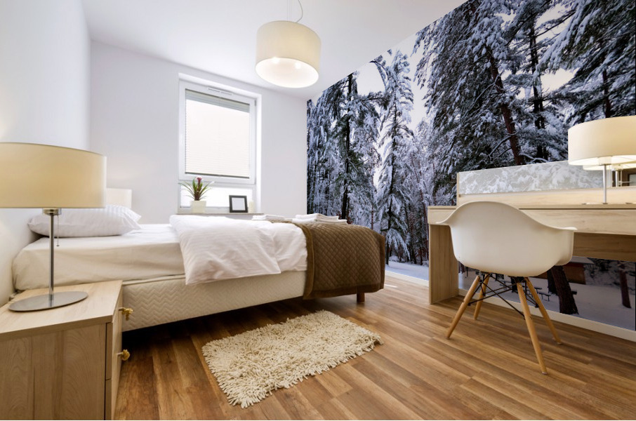 Winter Wonderland  Mural print