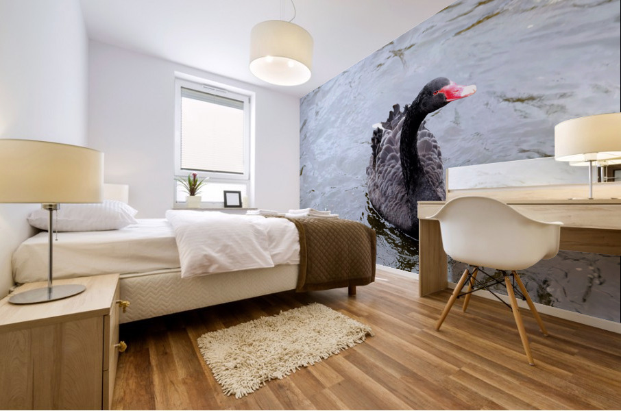 A Black Swan Moment  Mural print