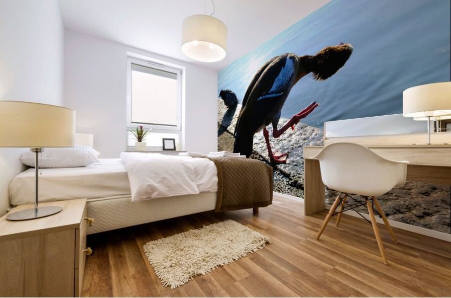 Is the Sky Falling...Just Checking Mural print