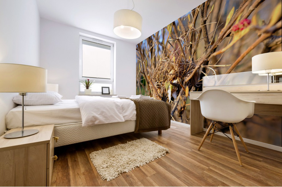 Sanctuary Among Branches Mural print