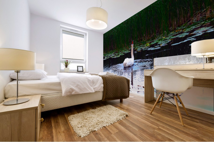 Where Is The Rain  Mural print