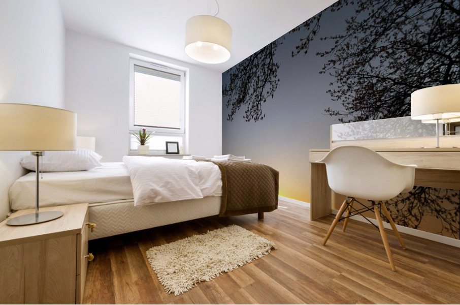 Golden Michigan Sunrise Mural print