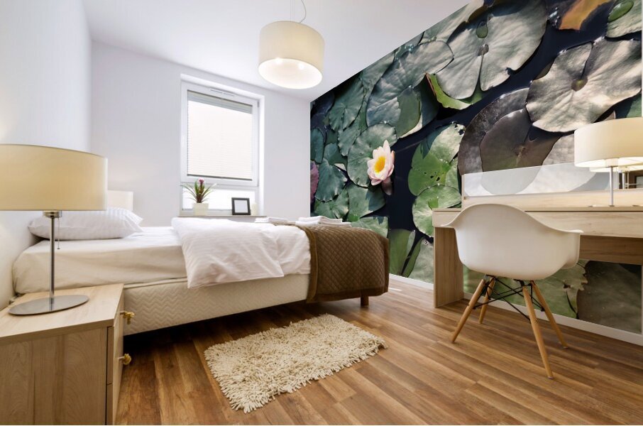 Sunlit Lily Mural print